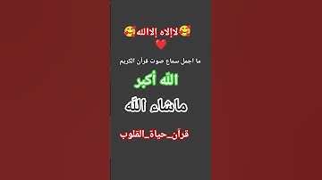 #تلاوات #المصحف #لايك #اكسبلور #السعودية #تيك_توك #الرحمن #فلسطين #دويتو