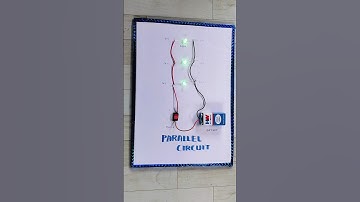 Parallel circuit working model #scienceworkingmodel #shorts