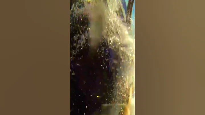 He SURVIVED! Hobie 16 Catamaran ⛵ Man Overboard ⛵