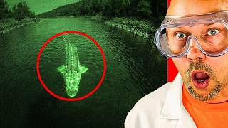 The Scariest Creatures That Killed A Megalodon