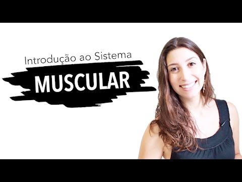 Vídeo: Anatomia, Diagrama E Função Do Sistema Muscular - Healthline