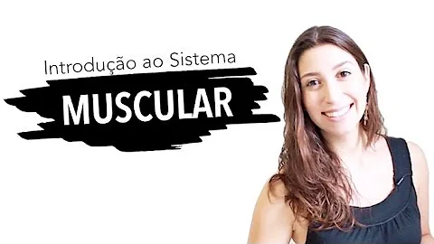 Quais são as principais funções do sistema esquelético?