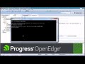 OpenEdge: Debugging ABL Code