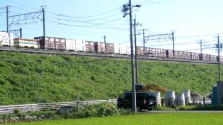 〈5060レ〉【代走】EF66-124〔吹〕 広島⇒札幌 丸和通運 2012.8.7