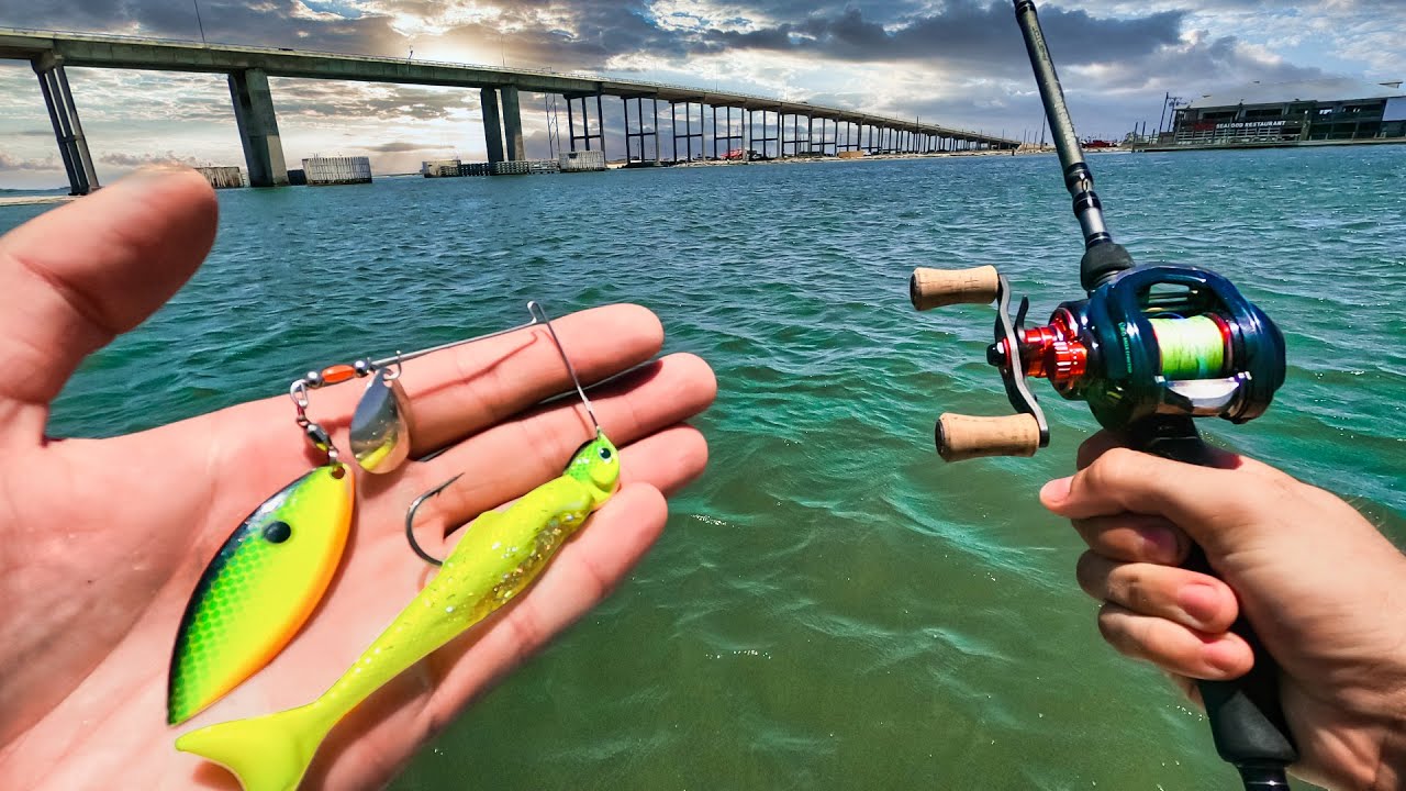 catch and cook redfish during $1,000,000 fishing tournament catch and cook redfish during $1,000,000 fishing tournament
