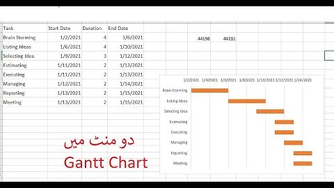 Gantt Chart in MS Excel; Urdu/Hindi, just two minutes