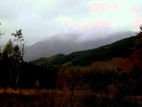 Rigid Horns — Rigid Horns - Bleak Shade Creeps in Wooded Ravines