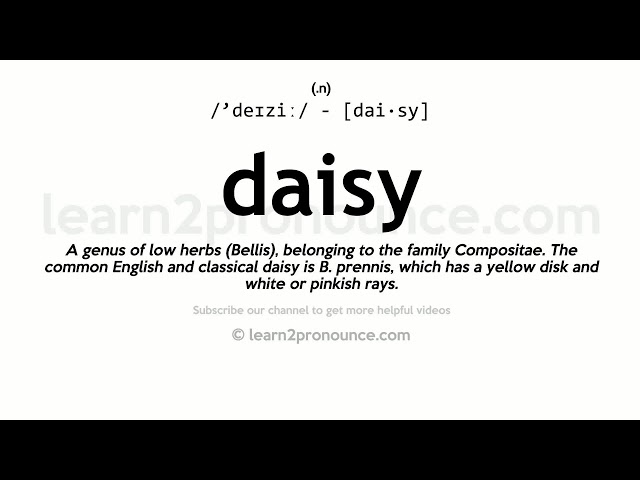 DaisyxDaisy - Evidence {Lyrics / Letras + Translation / Traducción}