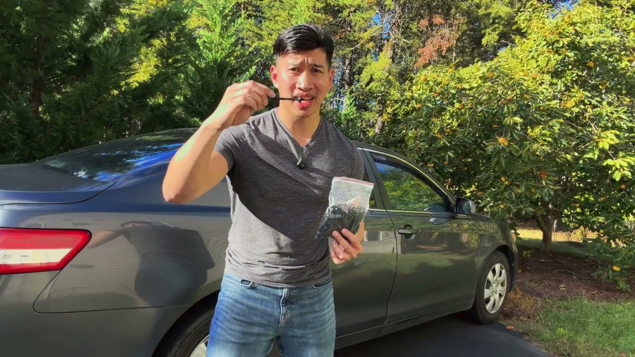 Can a Simple Zip Tie Handle Everything?