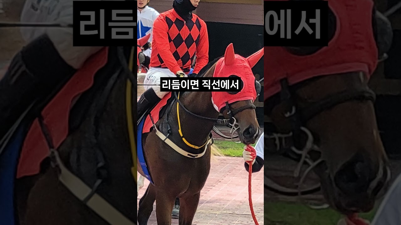 26.01.18 서울경마 02경주
