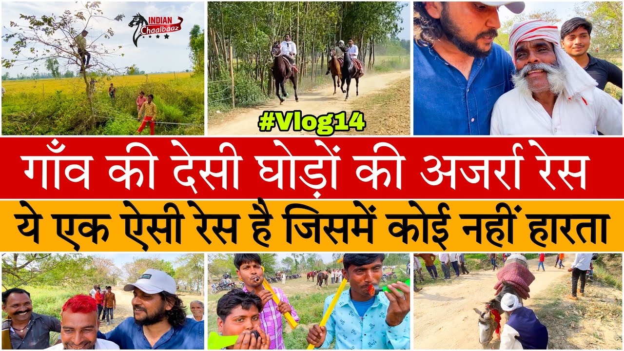 गाँव की देसी घोड़ों की अजर्रा रेस ये एक ऐसी रेस है जिसमें कोई नहीं हारता #vlog #dailyvlog