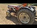 Una mañana de huerta y tractor 🚜 (San Bartolomé 🕊️)