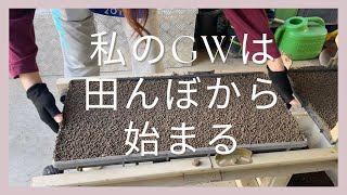 米作りの季節がきた【GWはここから始まる】