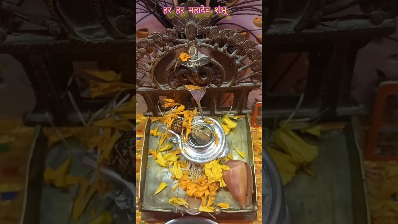 जय द्रोणेश्वर महादेव दर्शन #viralreels #shortsvideo #videoviral #trending #viralvideo #youtubeshorts