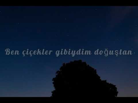 Gelmedin || lyrics (Aşk Yeniden Dizi Müziği)