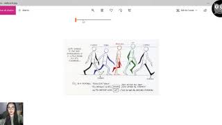 Ani12a - Module 10 - Synchronous Learning Session for Animation 12a