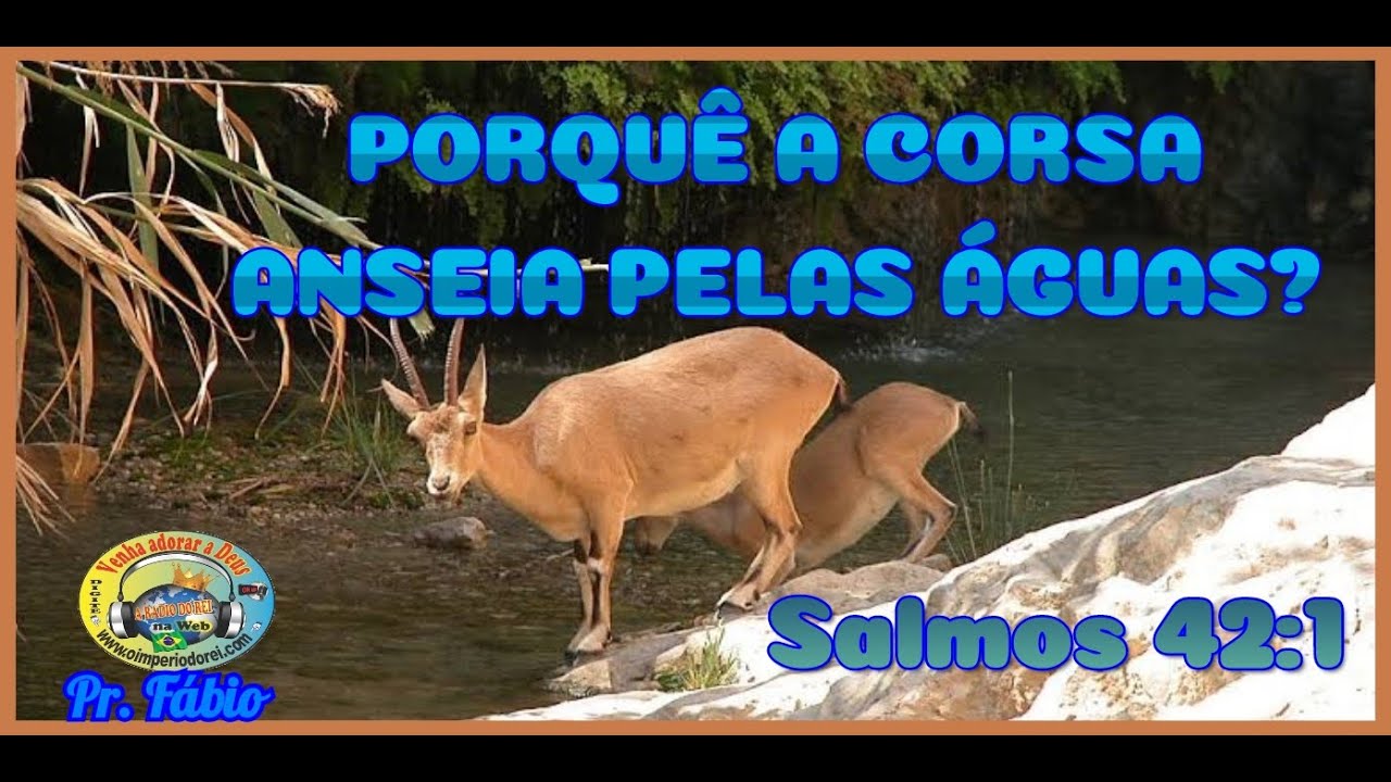 Porquê a Corsa anseia pelas águas? - YouTube