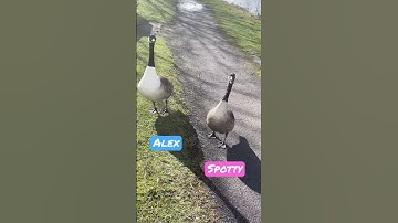 Guess why I named them like this