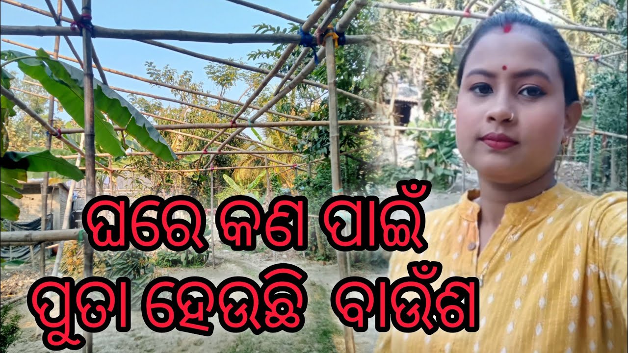 ଘରେ କଣ ପାଇଁ ପୁତା ହେଉଛି ବାଉଁଶ 