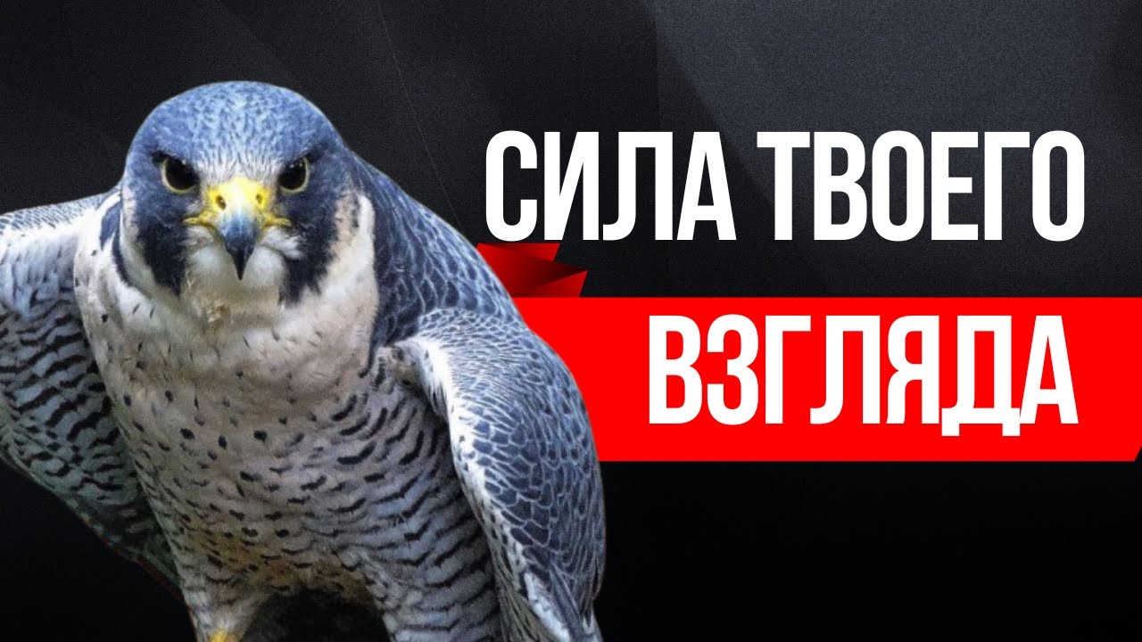 МАГНЕТИЧЕСКИЙ ВЗГЛЯД КОТОРЫЙ ЗАВОРАЖИВАЕТ И ПУГАЕТ ОДНОВРЕМЕННО