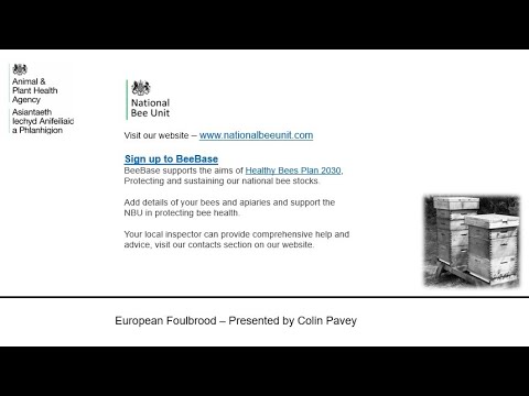 European Foulbrood - Back to Basics - by Colin Pavey