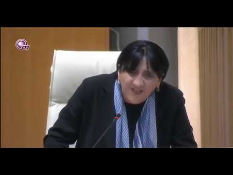 ირმა ინაშვილის ინიციატივა ხელისუფლებას