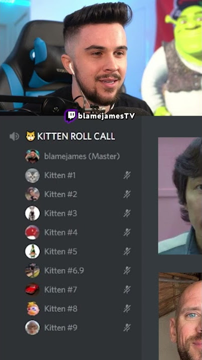 DISCORD KITTEN ROLE CALL😼