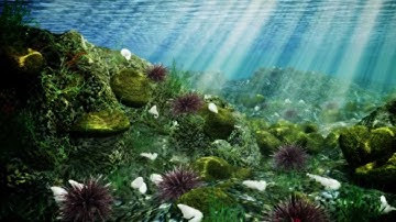 CGGT - Technical Show reel - Vivek Reddy - Feb 2013