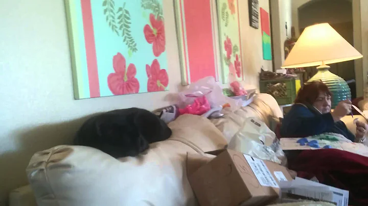 IVAN ON COUCH