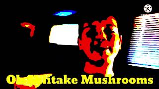 Oh Shiitake Mushrooms Intro - Daddy Temper Tantrum Effects [NEIN Csupo Effects Extended]