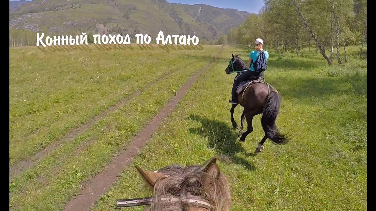 Поход по оке