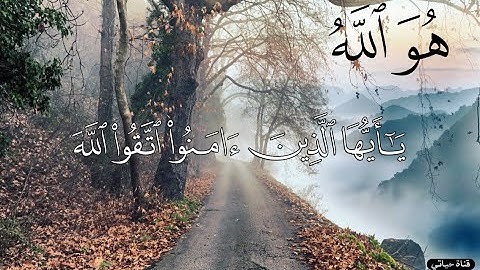 هو الله ❤️ الأكثر استماعا تلاوة أخاذة من رمضان١٤٤٠ ❤️أحمد النفيس
