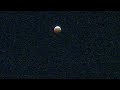 'Super flower blood moon' total lunar eclipse over Bay Area