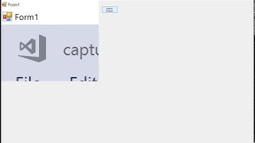 Screen Capture in Windows Form C#