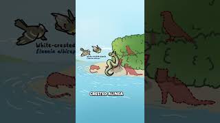 This Island Is Full of Snakes