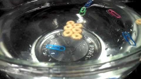 How to Float Paperclips: a fun, at-home experiment
