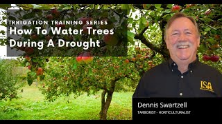How To Water Trees During A Drought