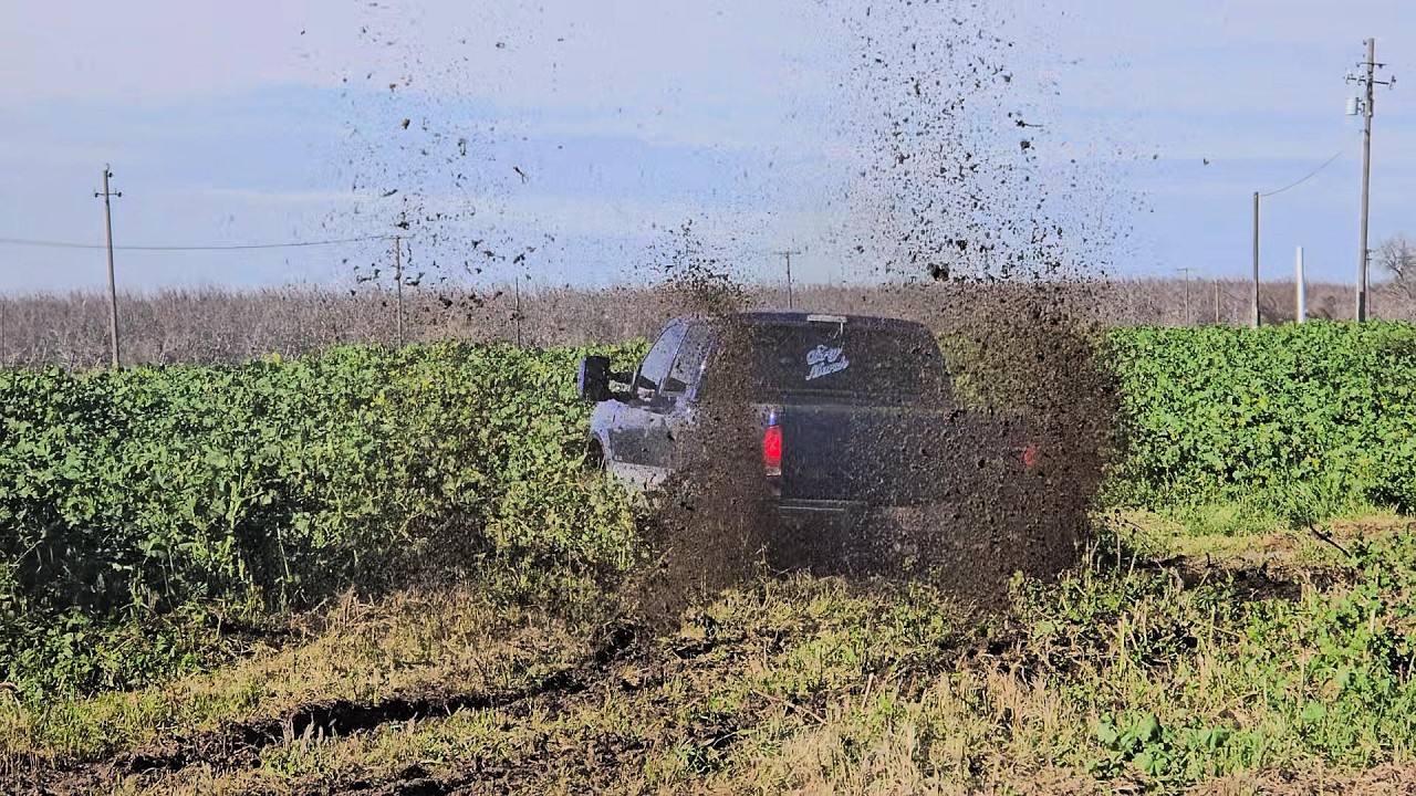Juventude na Matança do Porco em Stockton Fevereiro 21 2026 Califórnia