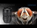 รีวิวบ้านๆ Laowa 60mm f/2.8 Ultra-Macro Lens