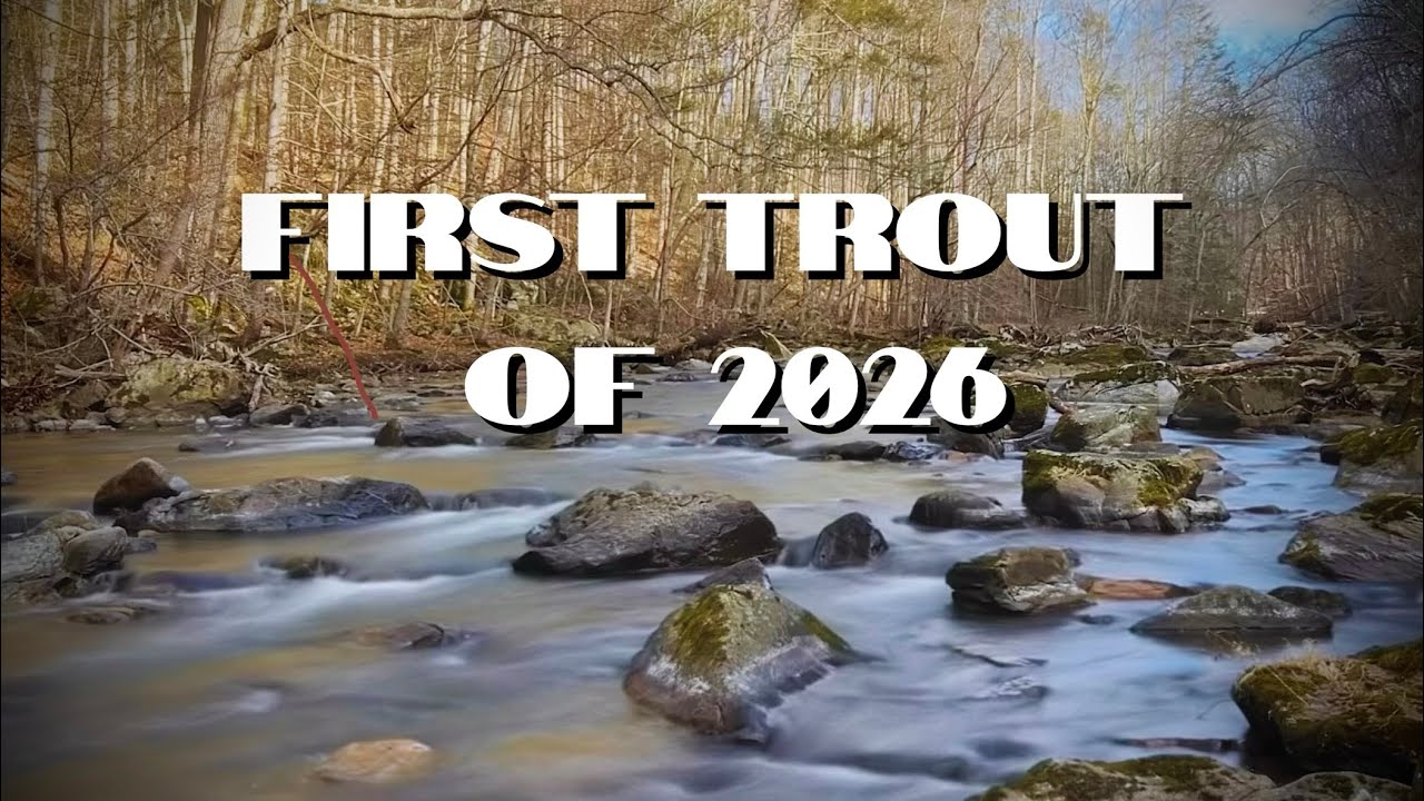 FIRST TROUT OF 2026! | Fly Fishing NJ