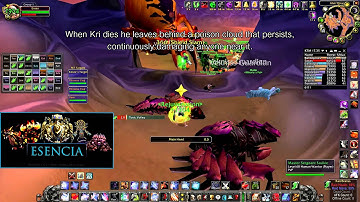 [Esencia] Bug Trio (Warsong - Feenix)