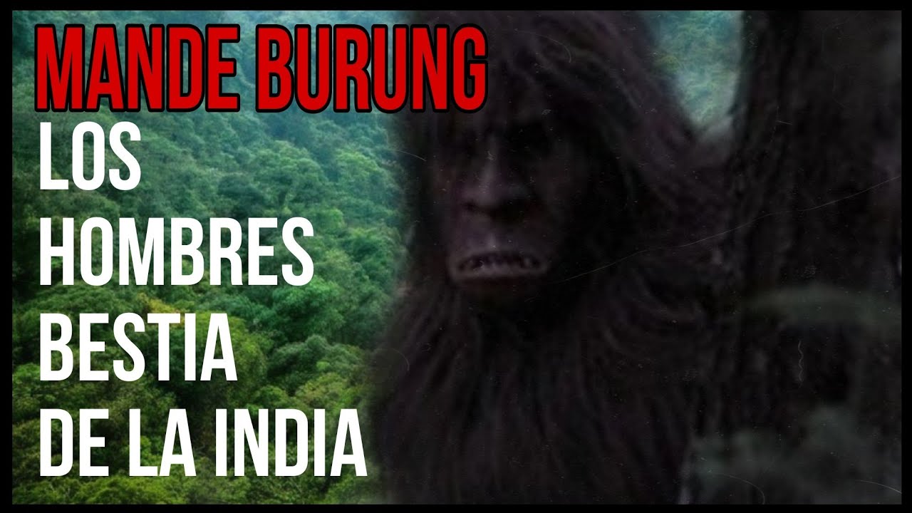 MANDE BURUNG: Los YETIS de la  INDIA  | Criptozoología | Monstruos