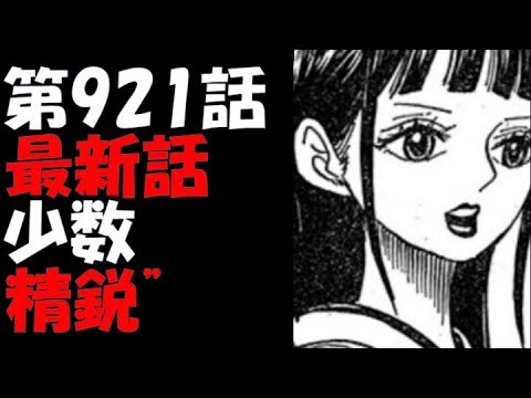 ワンピース921の動画 画像 動画検索 マイルドサイト