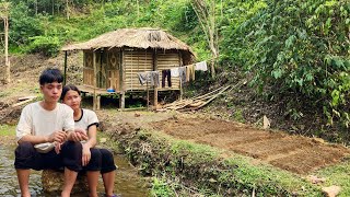 Growing Vegetables in Bare Land  Build Cabin in the Woods  New life of a Young Couple