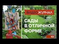 Видео журнал «Сады в отличной форме №13»