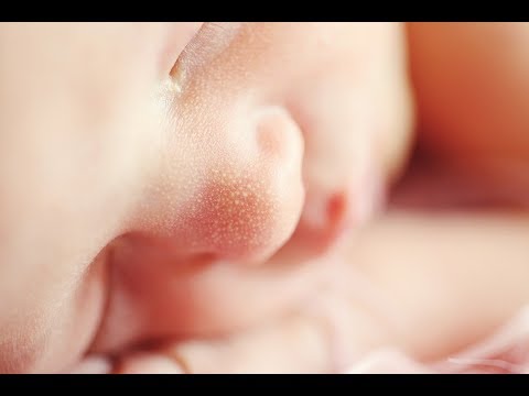 KTF News - 95% of Biologists Believe Life Begins at Conception