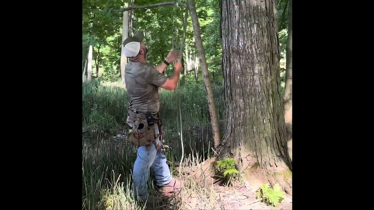 How to SRT climb for saddle hunters.