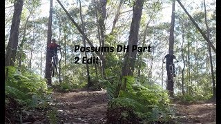 Possums DH Part 2 Edit