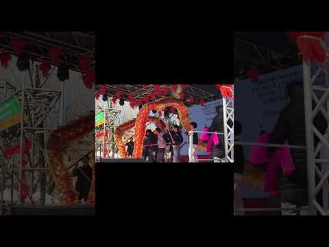 Video Capodanno cinese 2026. piazza vittorio, Roma. anno del cavallo