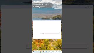 Chromebook: How to Run Diagnostics